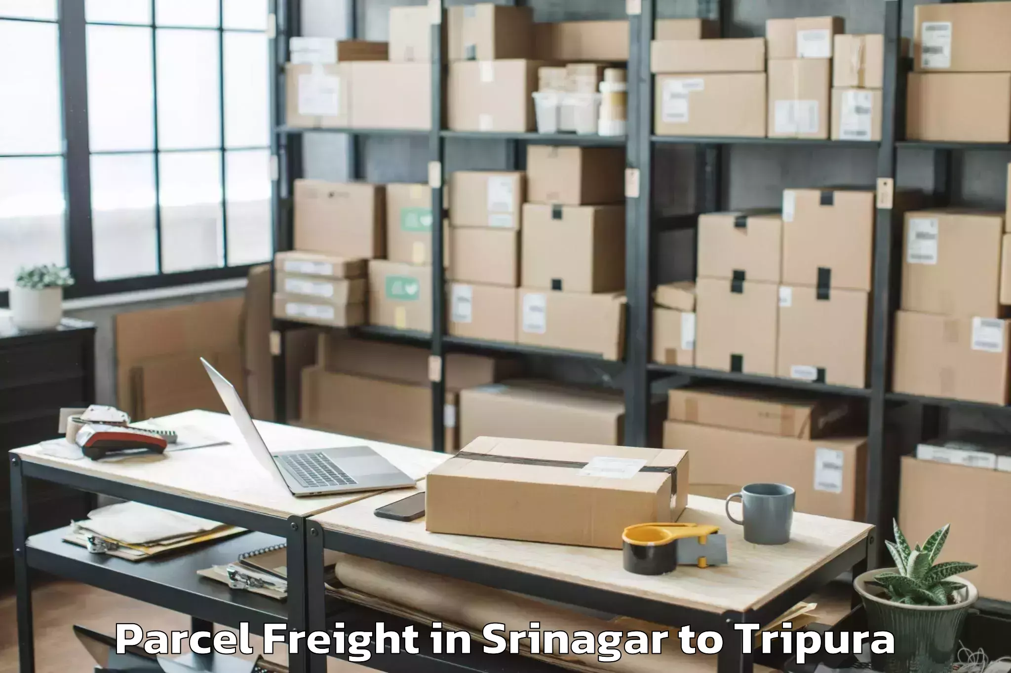 Hassle-Free Srinagar to Iiit Agartala Parcel Freight